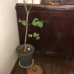 そばきり すゞ木 - 