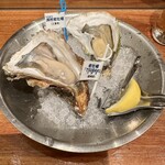 Oyster Bar ジャックポット - 