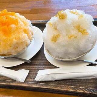 バレンシア畑_1