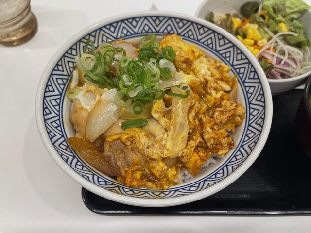 Yoshinoya Otobashi Ten photo 4