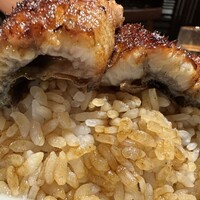炭焼 うな富士 有楽町店 - 