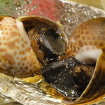 新中国料理 HARAKAWA - 前菜盛り合わせ・・・バイ貝