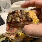 ヨシヅヤ - 料理写真:もろこ寿司