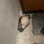 鮨 一二郎 - こんばんは♪