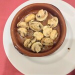 びいどろ 銀座店 - シャンピニオンのセゴビア風