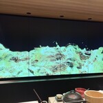 渋谷 鮨 スブリム - 