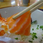 魚処 やました - オレンジ鮮やかなサーモン