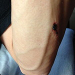 ザイカ・カレーハウス - 