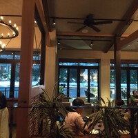 スミレオオサカ - 