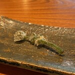 日本料理 別府 廣門 - ⑪廣門さんの庭で育てた独活の蕾 天ぷら