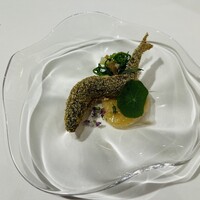 ロドラント ミノルナキジン - 