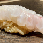 鮨 みや川 - エンガワ？