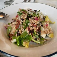 THE APOLLO - 兎とファロ麦のサラダ。