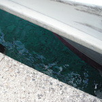 愛南 市場食堂 - 海の水が綺麗、黒いのは石かと思ったら魚でした。