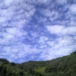 愛南 市場食堂 - 秋晴れの良い天気、とんび飛んでました。