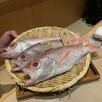 のど黒屋 新橋店 - 今日ののどぐろです！と言って最初に店員さんが持ってこられました。これを塩焼きと煮付けにしてもらいました。ちなみに時価とのことです。