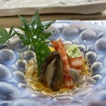 すし善 本店 - 何気に“前菜”ですが、この海老のクッキリとした紅白のコントラスト！美味しく無いはずが無い…。そしてジュンサイ⁈とジュレ！やるねー札幌！って言う感じです。