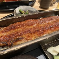 うなぎ四代目菊川 ミッドランドスクエア 名古屋本店 - 