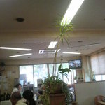 愛南 市場食堂 - 