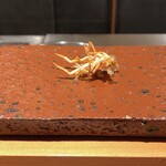 Tempura Sakurabito - 