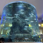 ワールドダイニング シーダパレス - 水族館気分です