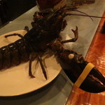 Ata - 藤壺の付いたオマール海老2