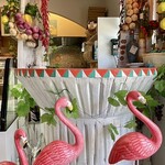 バラッカ・デル・ソーレ - フラミンゴさん達がお出迎えこんにちは ᐕ)ﾉ