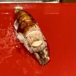 小笹寿し - しゃこ