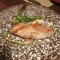 タケル クインディチ(LOQUAT) 西伊豆 - 