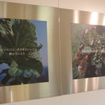 ベジテリア - 店近くに飾ってある看板