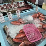 パヤオ直売店 - 魚多い！