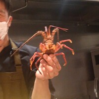 RISTORANTE IL NODO - 鎌倉エビ