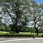 4D studio meili cafe - 公園