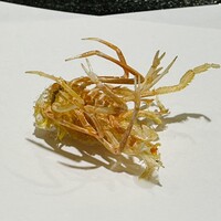 銀座 天一 博多店 - 