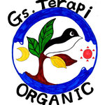 Gs.Terapi - 