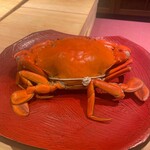 新日本料理おぶね - 