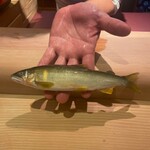 新日本料理おぶね - 