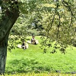 4D studio meili cafe - 