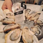 オイスターテーブル - 