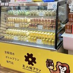 Kyou Yasaka Purin - 