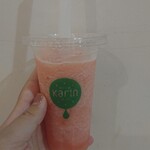 Karin Ionmorusuzukaten