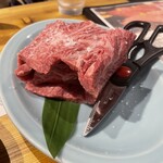 Taishou Yakiniku Horumon Ke Tsu Purasu - 