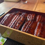 Unagi Hana - 肉厚のニホンウナギ丸々一尾の鰻重（特上）です。