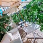 HAUTE COUTURE CAFE OMOTESANDO - 