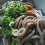 池内うどん店 - 今日の麺もツヤツヤ♪