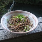 池内うどん店 - 「あべっく（ソバ１玉うどん１玉　（冷）」で・・・