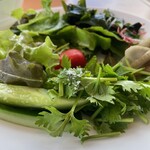 空の駅 風和里しばやま レストランフワリ - 新鮮野菜のサラダ