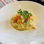 チューダーヒルズ - 