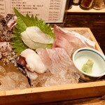 Kirakutei - トロ箱　オコゼ、水タコ、鯛、ハマチ
