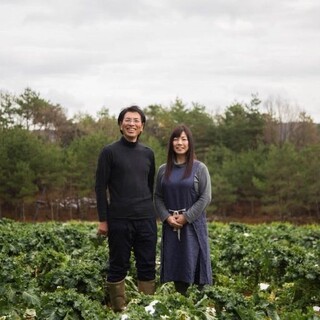 [Vegetables] Organic vegetables from “NOTO Taka Farm”, which is particular about soil preparation